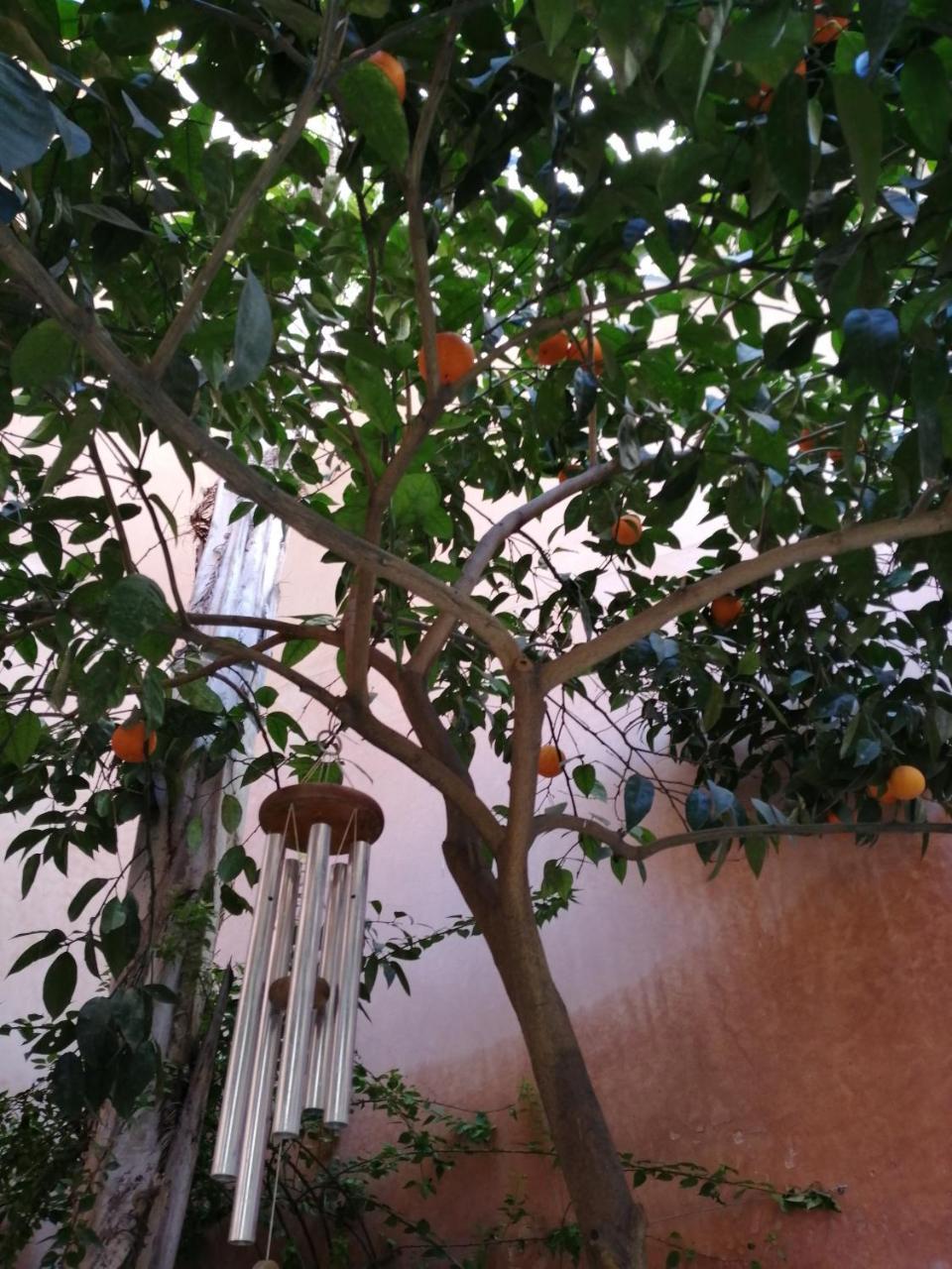 Bed and Breakfast Les Bains De Fez Tara Екстер'єр фото